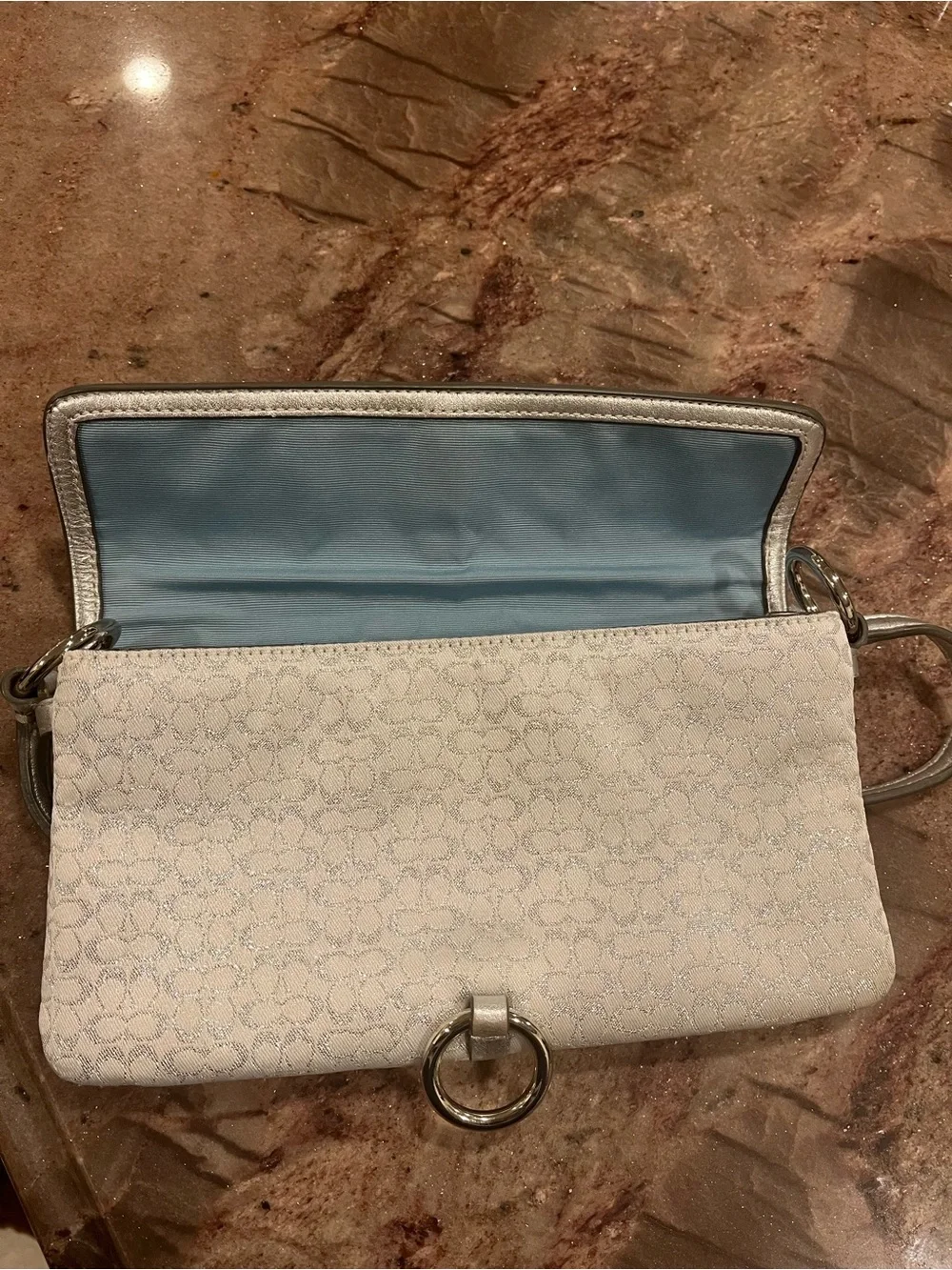 Vintage Coach Hamptons Shimmer Optic 
